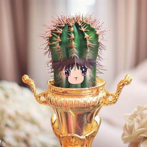 _26b5dcc2-920a-44d2-b88f-8d6e11748663