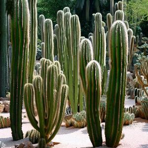 _3d6c6b98-ecea-4ed3-b781-011128964b59