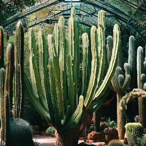 _4b2d2d2f-7523-4b76-a5d9-ffac800b78dc