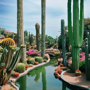 _57f2bde8-e91a-4003-9425-f1a3866f03be