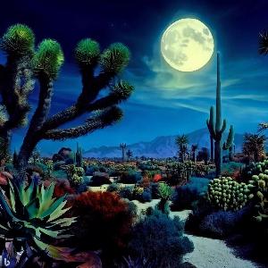 _5e286700-0055-4879-be08-709b83e5e3bd