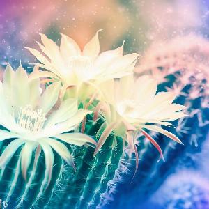 _6236af62-2396-4c26-872f-a68eddf85c7f