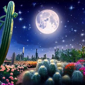 _7843234a-e236-49a4-8505-6f33190a0446