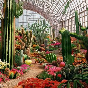 _881efde6-89a7-4ab9-b9bc-f77f531e254e