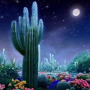 _af354062-dfcc-47b4-b75a-d4b15b1f8cea