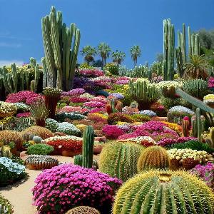 _baa2088f-556b-490b-b9fe-3756a0a1ce79