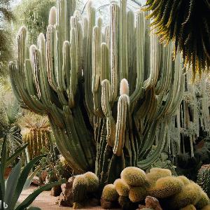 _bfa5df7f-d553-4222-8f5c-f5fc85d10cda