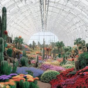 _e3ba987c-d88c-476c-af35-0e582de8e2c2