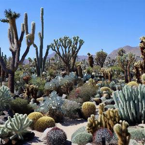 _e5310652-05a5-4cdb-a16c-e2e47e8280a3