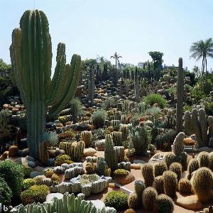 _e658ccff-b696-4755-9add-0527d5d72b49