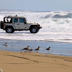 _2a4753da-9a34-4216-8454-b1bd25a58fb3