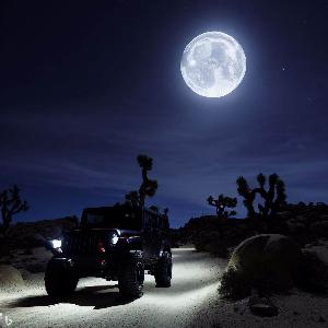 _5c521023-67ce-4b32-8dc7-6d066ee966f2