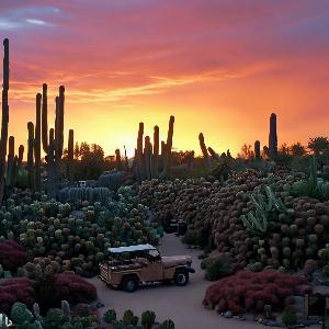 _92e18b66-3ff2-4fc4-9814-367e00a4285f