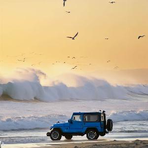 _fd6d01e5-c211-4b5c-8aaf-dba58516fd0e