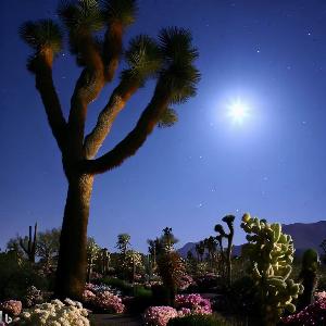 _ebb5e33f-1214-42a4-a88a-9bf55250241a