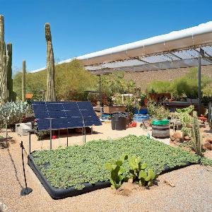 _2039281a-44f0-4d0e-ab26-79539ddbbb98