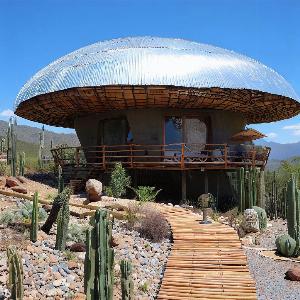 _82b87d60-3719-4cf0-918f-8b2ed5507e4e