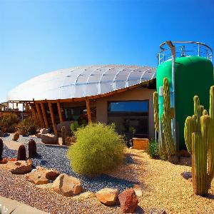 _ead3ce50-b8b6-4a81-8d24-d9b9791ff993