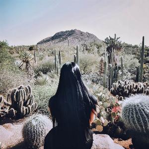 _1e185b08-8aee-439c-9389-e01fe11464ed