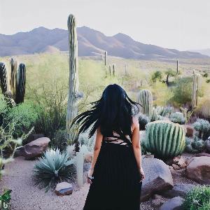 _57b1291f-07fd-4d65-bd3e-4e196a01a2b1