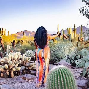 _663df1d3-b43f-4f0d-ba1d-153b70fcd1d3