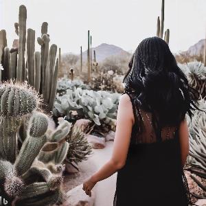 _80229b97-83c9-40f4-8d79-7d693718c3e8