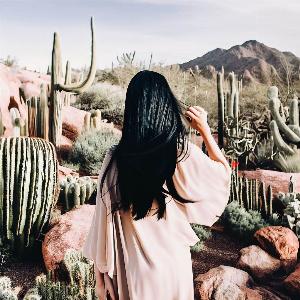 _98fb83cb-0f97-4675-8f6f-34f7ae266029