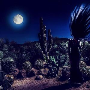 _b2f2091a-7e2a-44b3-9871-8dcb10448452