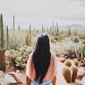 _ccf395ac-95c8-415d-b80a-ace18a4189d6