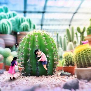 _d7d5a3b5-0933-4872-aea3-674c2a79f947