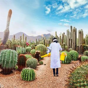 _f1f3f084-0704-43cd-bb94-7cdcd03b0601