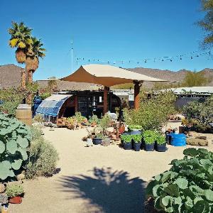 _8d9f8887-a156-469b-b056-594f4dbcdf93