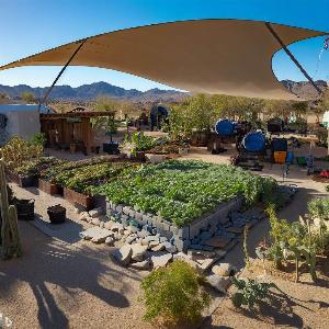 _d6cda1b4-4e0f-4c3e-b274-135ce0f14377