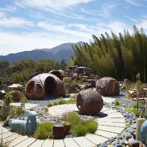 _e008fc59-7d9a-4287-a8e3-92d2a7e994e0