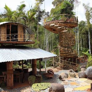 _e9743286-d329-423b-9d60-887e8b211441