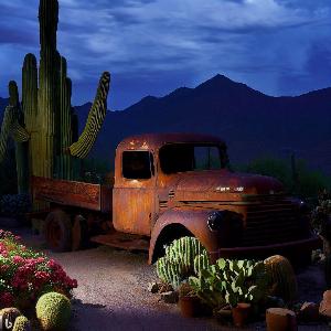 _42513c4f-9009-4b7d-8b7f-d37b6e3bca43