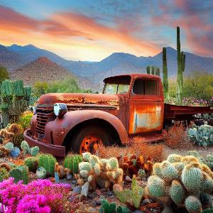 _877b7798-f831-4ba3-a697-c2d2fde86809